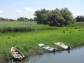Poze cu Barci din Delta Dunarii